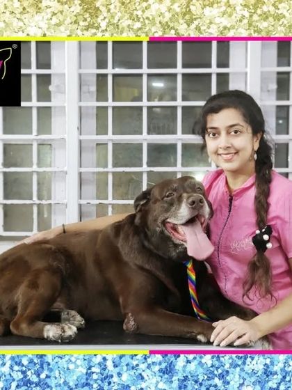 Fuzzy Wuzzy - Pet Grooming & Spa Spaniels, Retrievers & Large Breed Grooming photo 50