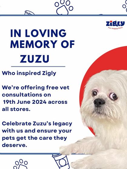 Zigly - Veterinary Services Events & Special Offers photo 11