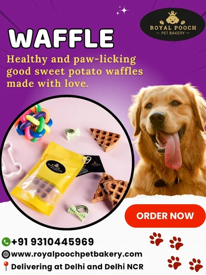 My sweet potato waffles are paw-licking good! Made with real sweet potato, they are soft, healthy, and packed with nutrients. I deliver them fresh across Delhi and NCR for a special snack time.