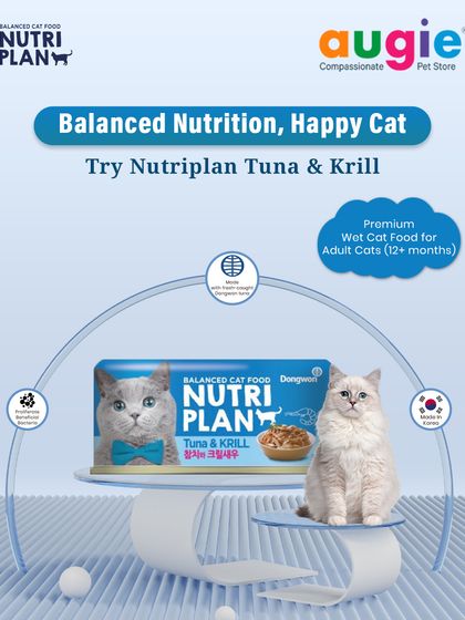 Augie Pets - Pet Supplies For Our Feline Friends: Premium Cat Nutrition photo 28