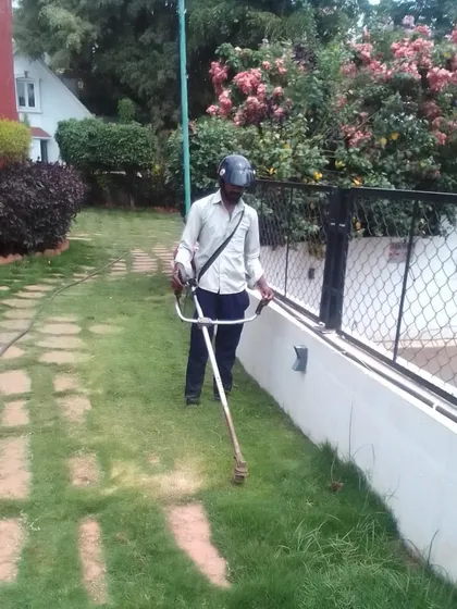 A neat lawn is the foundation of a beautiful garden. Here I am performing regular lawn mowing and edging, a core part of my garden maintenance service that keeps your green spaces looking crisp and well-kept.