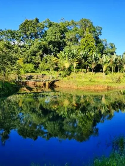 A serene lake reflecting the lush greenery at Riverside Nature Resort in Coorg, a perfect spot for quiet contemplation.