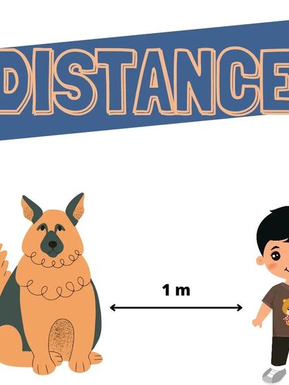 Once your dog can stay for a period of time, we add distance. I'll guide you on how to take one step back, then two, building their confidence to stay even when you're further away.