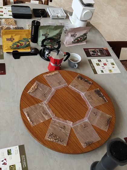 A top-down view of a coffee tasting setup for one of our workshops, with different bean varieties ready for exploration.