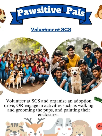 Poster for 'Pawsitive Pals' detailing the volunteer activities at an animal sanctuary.