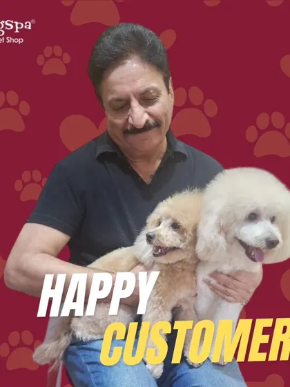 The end result: a happy pawrent with his two beautifully groomed poodles. Seeing the joy on both human and pet faces is the best part of my job. These pups are fresh, fluffy, and ready for cuddles.