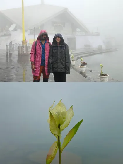 A couple posing in the mist at Hemkund Sahib, with the rare Brahma Kamal flower in the foreground. This trek offers both spiritual solace and natural beauty.