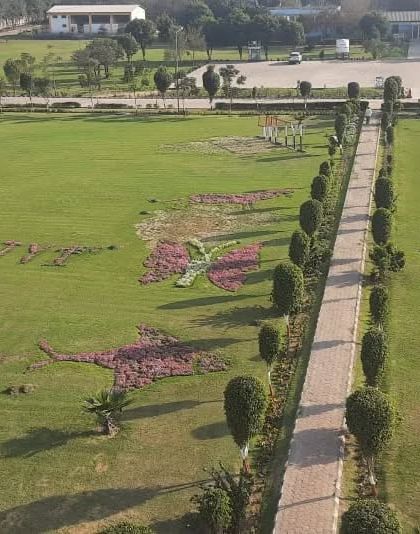 Another high-angle shot of the landscape art at the power plant. This demonstrates our capability to execute complex, large-scale patterns and designs with living plants.