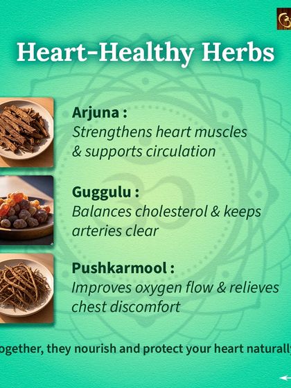 These are some of the most effective heart healthy herbs I prescribe. Arjuna strengthens heart muscles, Guggulu helps balance cholesterol, and Pushkarmool improves oxygen flow, all working together to nourish and protect your heart.