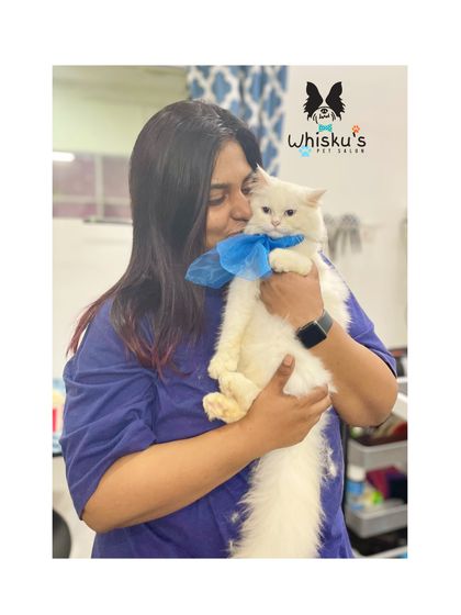 Furrybells Pet Grooming - Pet Grooming (Dogs & Cats) Cat Grooming: A Gentle Touch photo 31