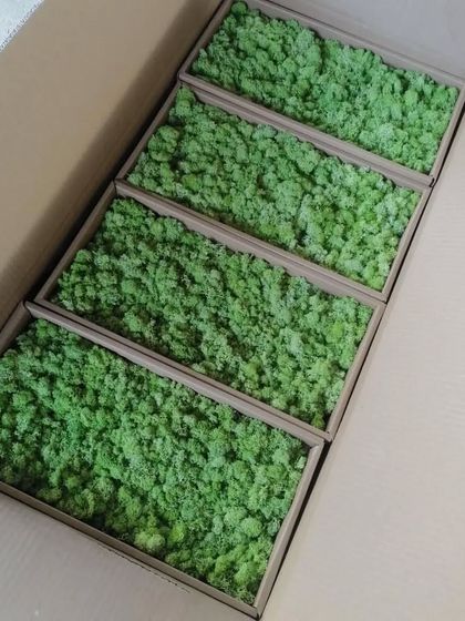 This is how the preserved moss arrives for my projects. Each panel is packed with care, ensuring the moss is ready to be used in creating beautiful, long-lasting green installations for my clients.
