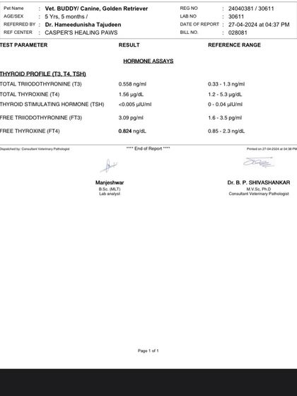 PL Paws - Animal Rescue & Rehabilitation How Your Donations Help: Our Medical Cases photo 13