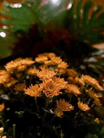 The warm, earthy tones of orange chrysanthemums provide a soft contrast to the dramatic green leaves. Every element is chosen for its color, texture, and ability to contribute to the overall story of seasonality and sophistication.