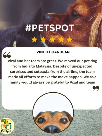 Vinod Chandran's review highlights how we handle unexpected surprises from airlines. My team and I always make every effort to make the move happen, no matter the setbacks.