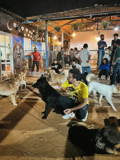 The fun doesn't stop when the sun goes down. Our park has a warm, inviting atmosphere in the evenings, making it a perfect spot to unwind after a long day, surrounded by the happy energy of our dogs.