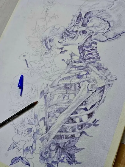 A work-in-progress shot of a complex anatomical skeleton drawing, showcasing the initial layers and shading done with a ballpoint pen.