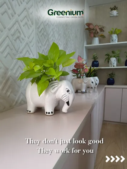 These decorative elephant-shaped planters show that office plants don't have to be boring. They don't just look good; they work for you by purifying the air and lifting moods.