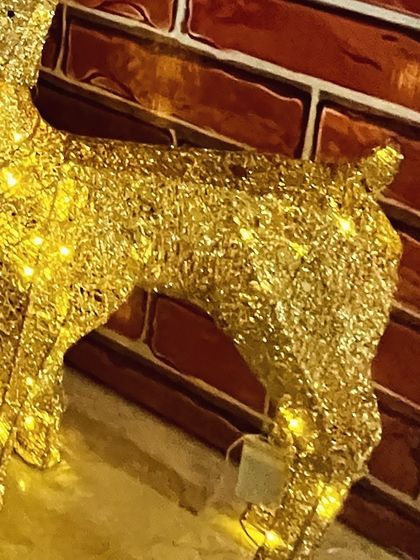 It's All in the Details photo 23