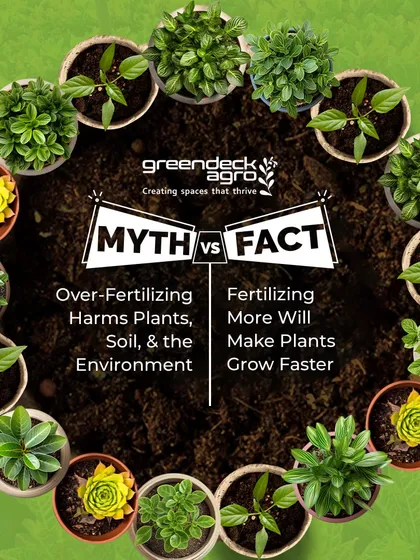 Myth: Fertilizing more will make plants grow faster. Fact: Over fertilizing harms plants, soil, and the environment. We use proper fertilization methods for sustainable growth.