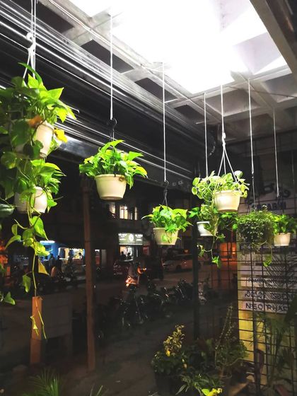 Balcony & Terrace Gardens photo 5