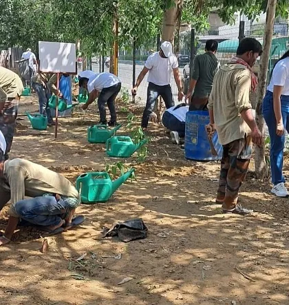 A large group of volunteers from Orbis Financial gets to work, digging pits and planting saplings along the bank of Aravali Creek in Sector 43.