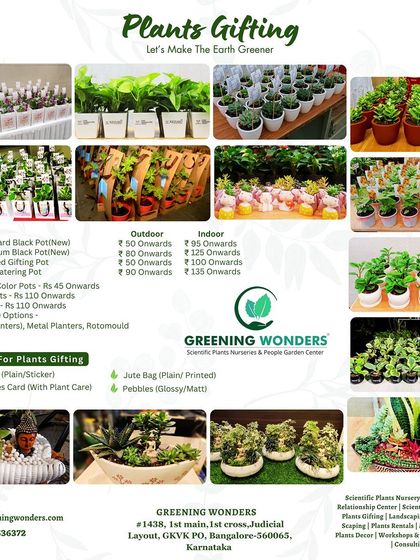 Greening Wonders - Corporate & Personal Plant Gifting Additional Work photo 9