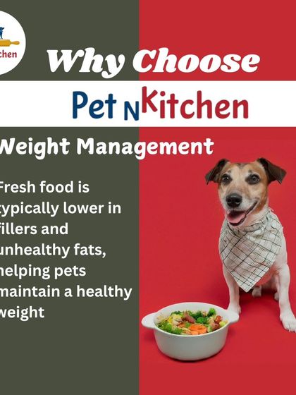 This image shows a fit dog next to a healthy bowl of food, illustrating how my meals help with weight management. I don't use fillers or unhealthy fats, making it easier for your pet to maintain a healthy weight.