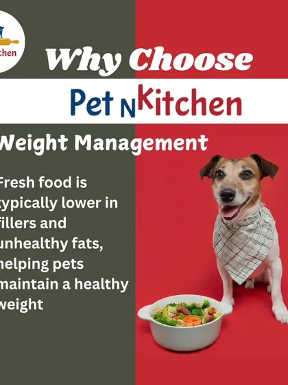 This image shows a fit dog next to a healthy bowl of food, illustrating how my meals help with weight management. I don't use fillers or unhealthy fats, making it easier for your pet to maintain a healthy weight.