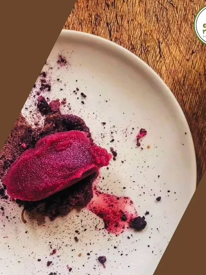 A scoop of vibrant mulberry sorbet on a bed of chocolate soil. This dessert was a highlight of a special farm-to-table dinner, using mulberries picked right from our trees.