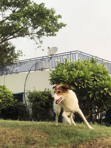 Another shot of our guest enjoying the different terrains in our facility.