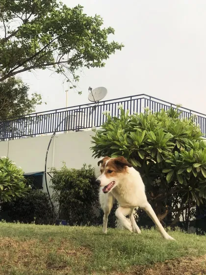 Another shot of our guest enjoying the different terrains in our facility.