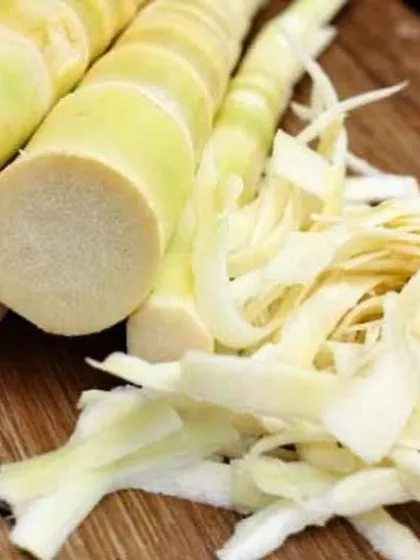 Preparing fresh bamboo shoots for pickling. The process involves carefully slicing the tender shoots to get the perfect texture for the final product.