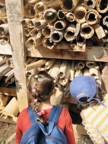 The Earth School - Montessori Primary & Elementary Program The World is Our Classroom photo 12