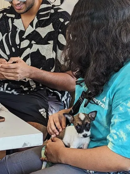 A participant enjoys a cuddle with a tiny puppy on her lap while her friends get creative.