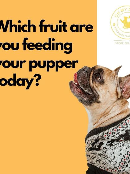 Oh My Dawg - Pet Supplies Nutrition: Food, Treats & Recipes photo 24