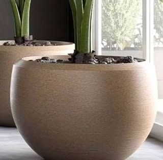A simple, elegant, and modern bowl-shaped planter. Its smooth texture and neutral color make it a versatile choice that allows the plant to be the star of the show.