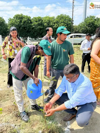 An EXL volunteer waters a newly planted sapling. This first watering is a crucial step, helping the sapling settle into its new home.