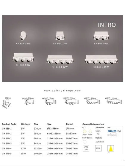 A duplicate of the 'Intro' series catalog page, providing comprehensive technical data for our versatile recessed lighting modules.