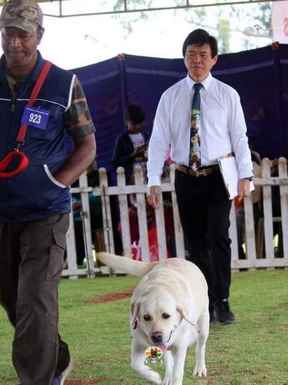 K9 Gurukul - Dog Training for Shows & Media Champions of the Show Ring photo 8
