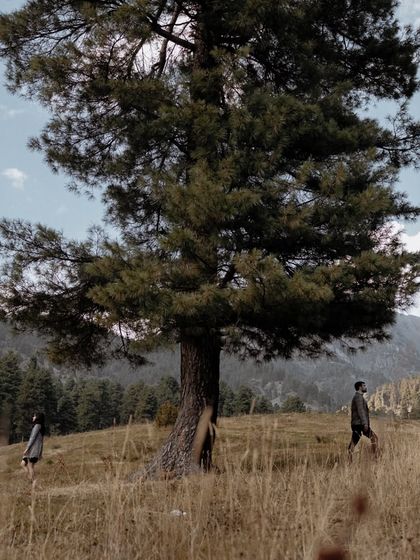 Pre-Wedding Love Stories photo 25