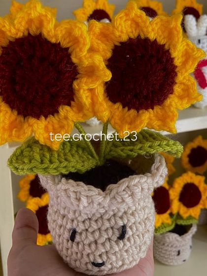 Cheerful Potted Plants photo 15