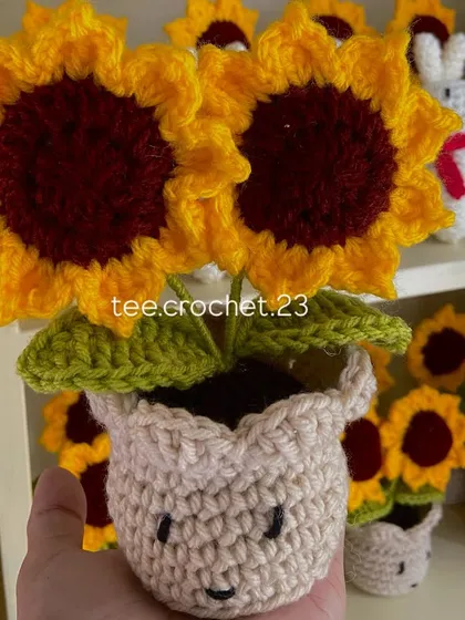 A close-up of a happy little potted sunflower, showing the two bright flower heads and the cheerful pot.