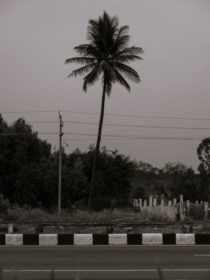 Zahid Moledina - Photography Travel & Architecture photo 26