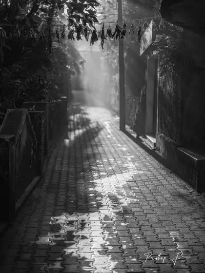 A black and white shot of a misty alleyway, with sunbeams cutting through the haze. Monochrome is perfect for emphasizing light and shadow.