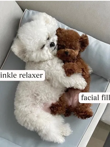Wrinkle relaxers like Botox and facial fillers are a perfect pair. While Botox smooths out lines caused by muscle movement, fillers restore volume and structure, working together for a complete and harmonious rejuvenation.