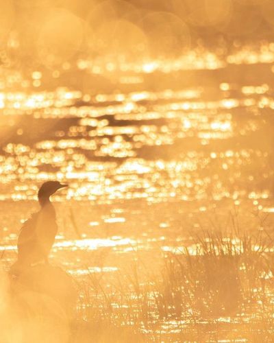 Nature & Landscape Photography
