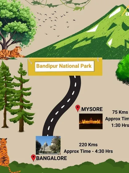 Planning your drive to Bandipur? It's a scenic 4.5-hour journey from Bangalore or a quick 1.5-hour trip from Mysore, with good roads all the way.