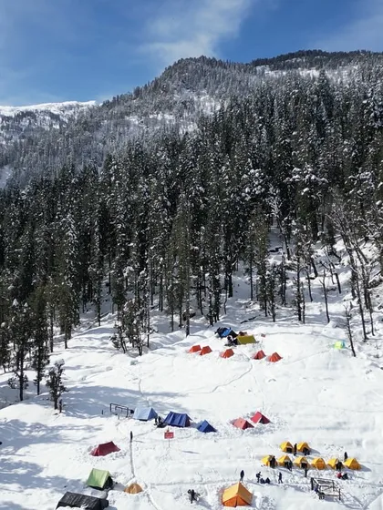 Our campsite for the Kedarkantha trek, set in a clearing surrounded by snow-laden pine forests. It's a scene straight out of a dream.