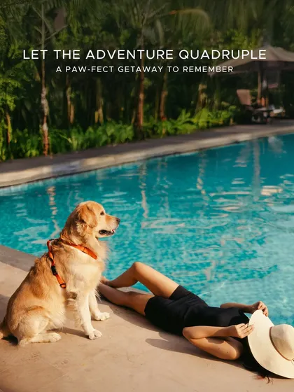 We believe that true getaways are shared with everyone you love. That's why we welcome your furry companions to enjoy our serene landscapes, with special amenities just for them in our 'Pawfect Petcation' experience.