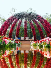 Event Planning & Management